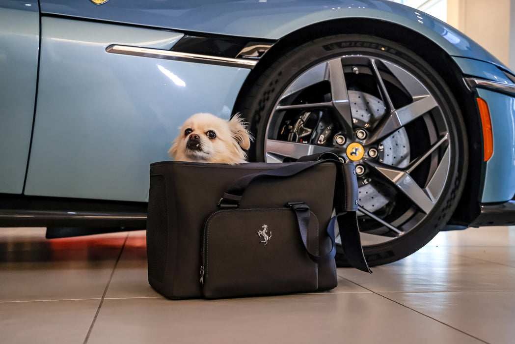 Ferrari Genuine Travel Pet Carrier
