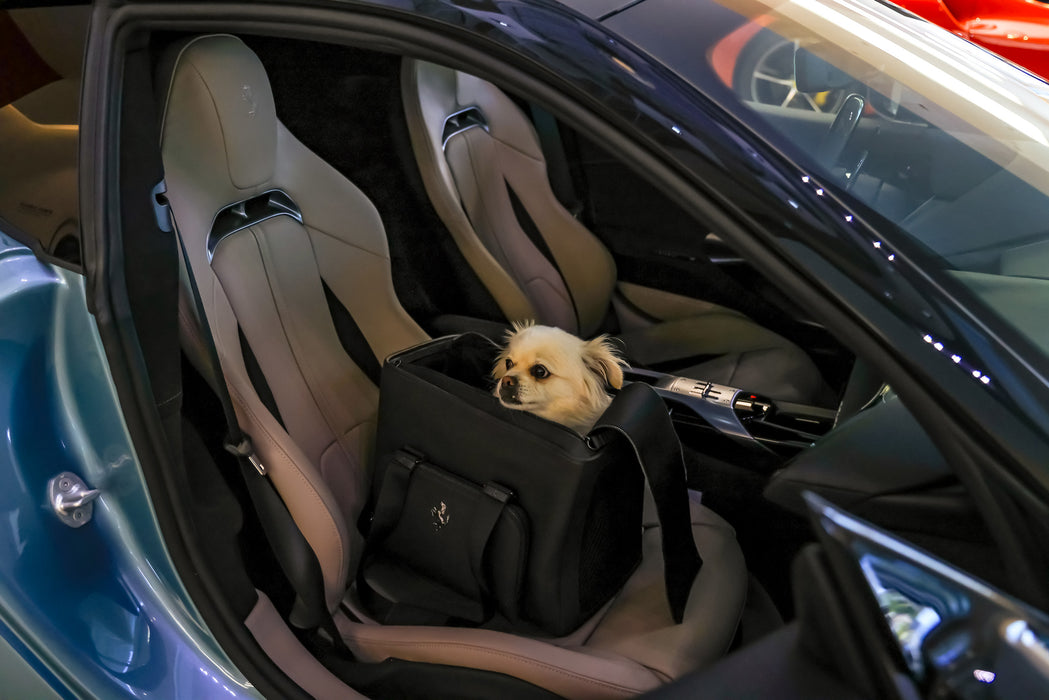 Ferrari Genuine Travel Pet Carrier