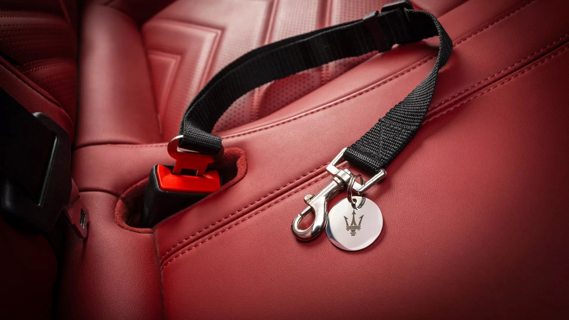 Maserati Pet Safety Belt